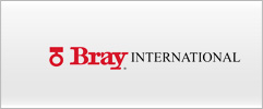 Bray International